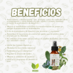ACTIVADOR METABOLICO SPRAY