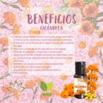 PAQUETE 4 ACEITES 30ML (6)