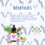 LOCION 7 ARCANGELES 125ml y 40ml (4)