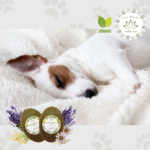 MELI JABON EN BARRA RELAJANTE (5)