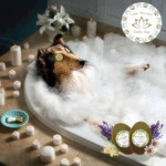 MELI JABON EN BARRA RELAJANTE (6)