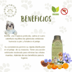 SHAMPOO EQUILIBRA GLANDULAS SEBASEAS (4)