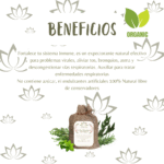 TÉ VIAS RESPIRATORIAS (3)